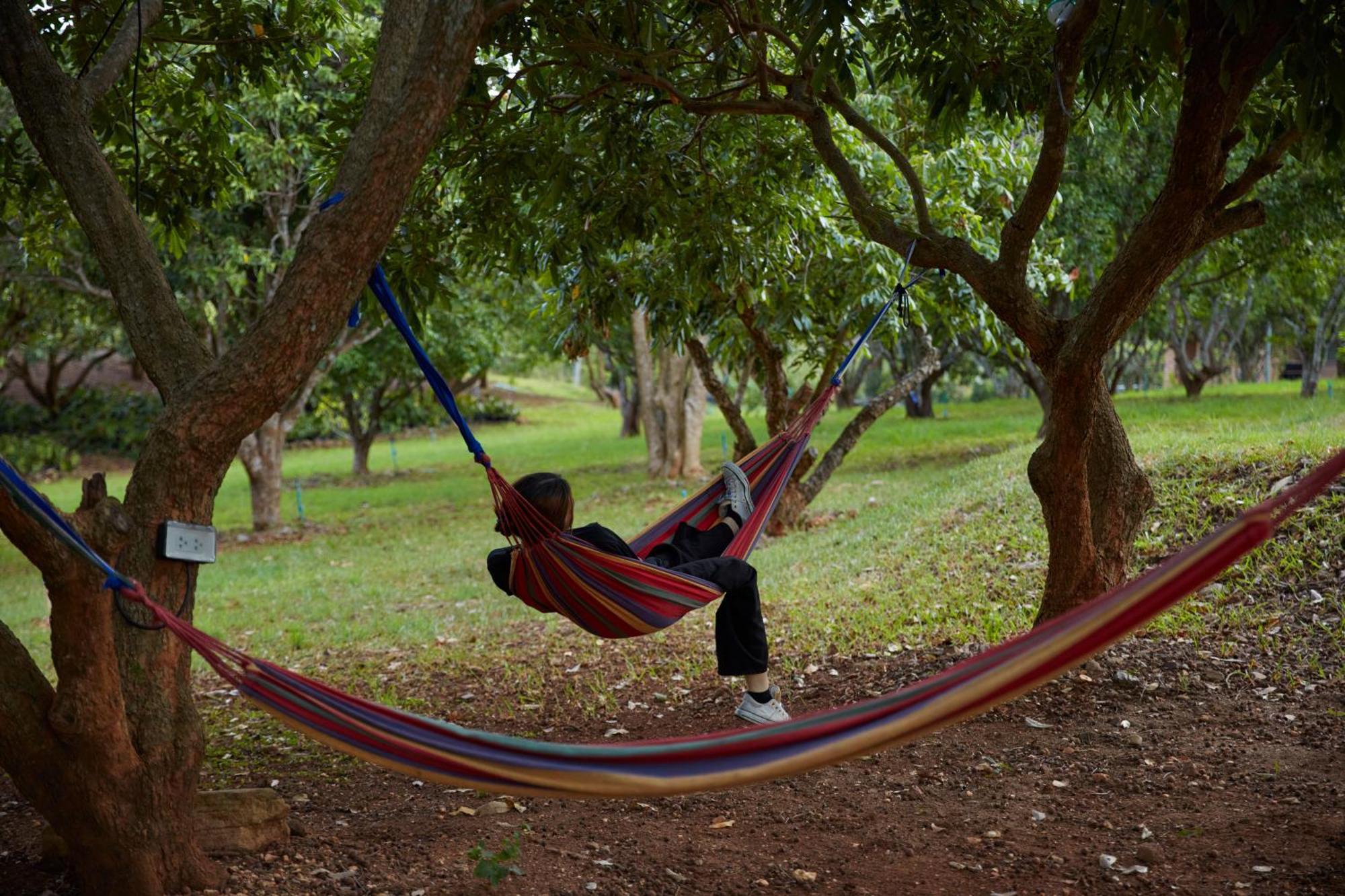 Nuyu Khaoyai Hotel Pong Talong Eksteriør billede